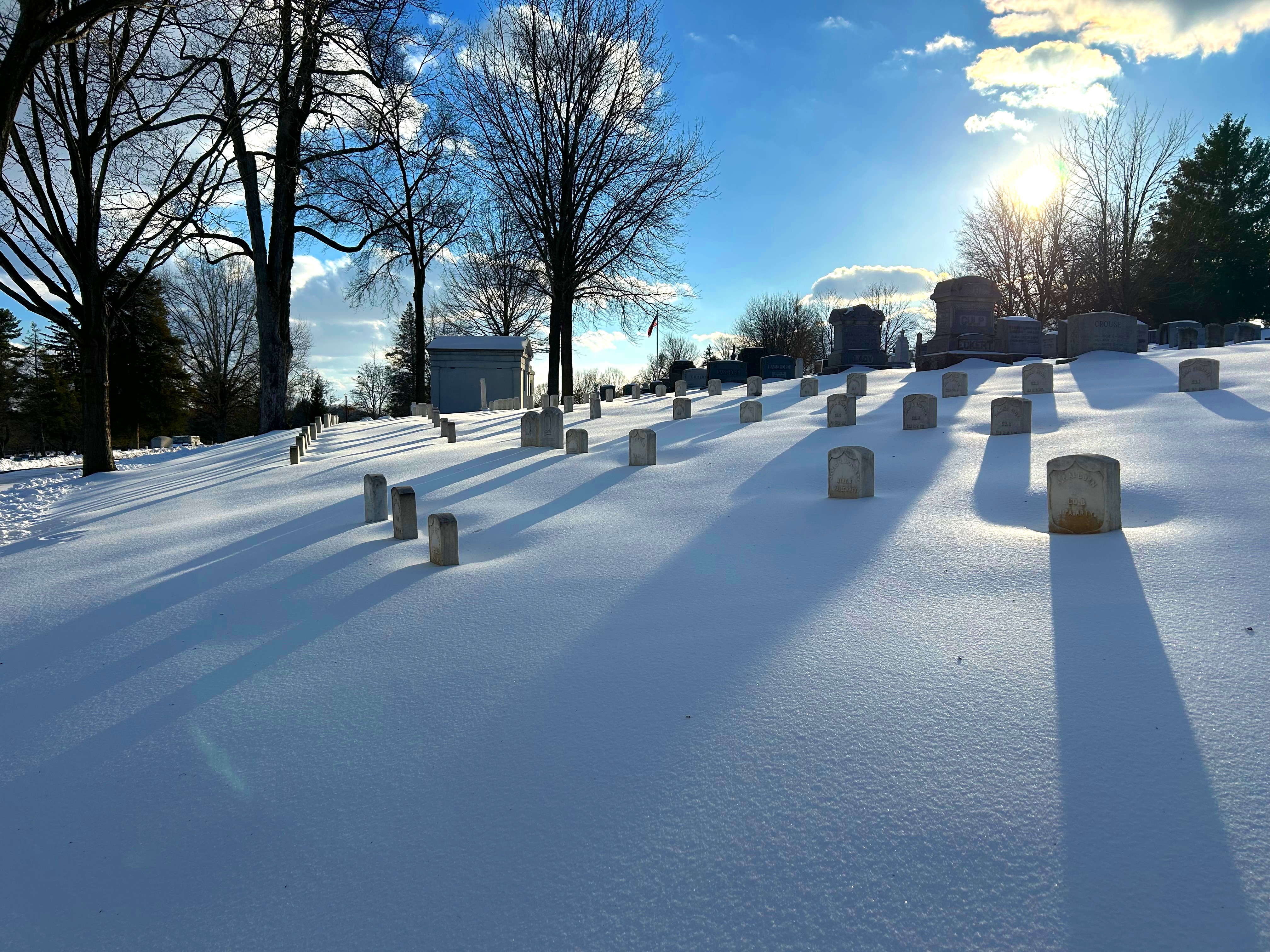 Elizabeth Thorne Graves